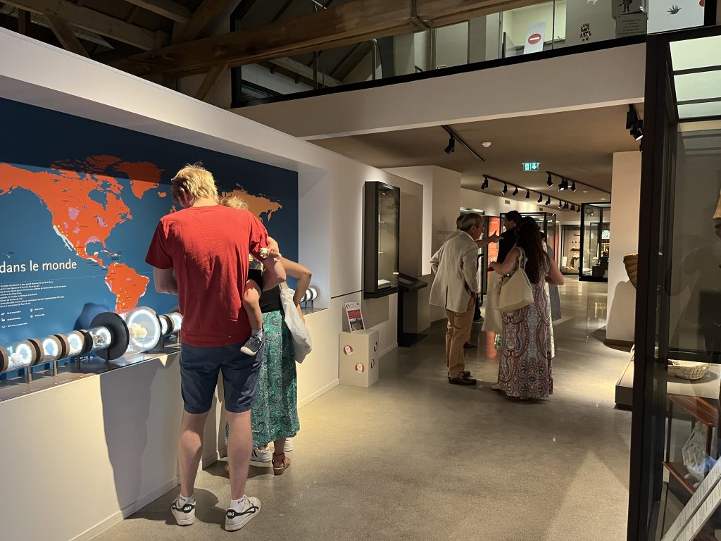 Une famille dans l’espace « Sel en question » du musée, observant les vitrines de sel.